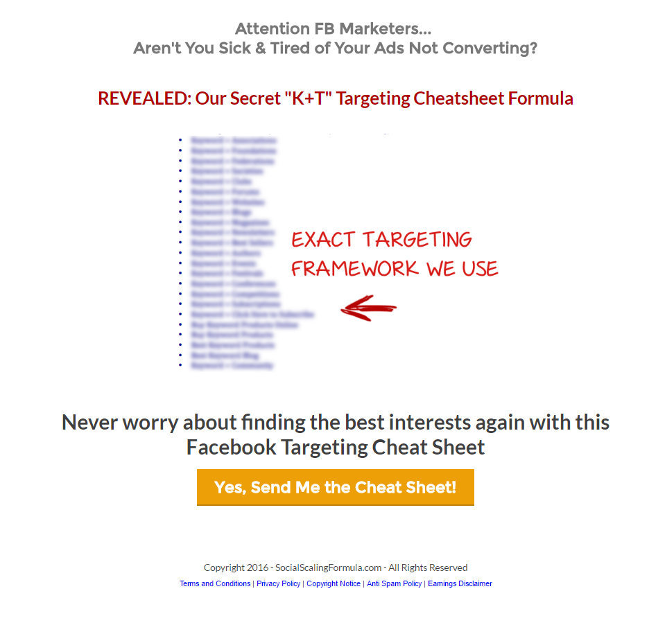 Social Scaling Formula post-click landing page Example
